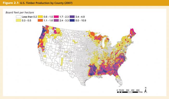Source: WRI analysis of national timber production (Johnson et al. 2009) and administrative boundaries (ESRI Data and Maps 9.3.1, ESRI 2008).
Note: 1 hectare = 2.47 acres