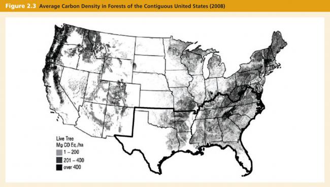 Source: U.S. Environmental Protection Agency (EPA) 2009.
Note: This graphic shows county-average carbon densities for live trees on forest land, including both above- and belowground biomass. These data are based on the most recent forest
inventory survey in each state.