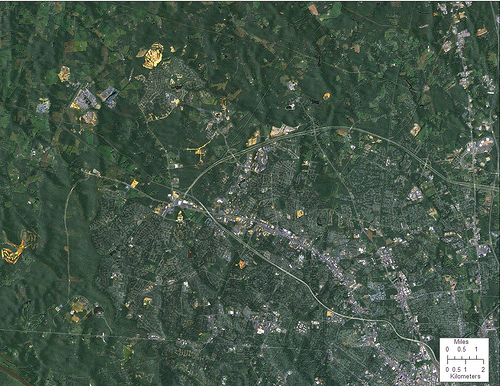 2006