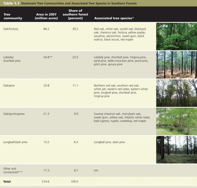 Forest types under the study. a Site 1; b Site 2; c Site 3; d Site 4; e